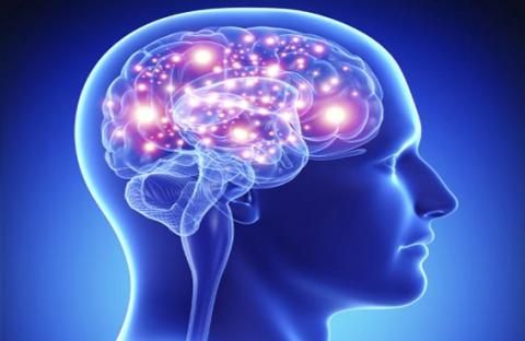 دراسة: بعض الأمراض النفسية قد تكون مرتبطة بالدماغ