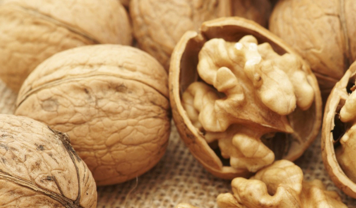 دراسة: تناول الجوز يعمل على تحسين التركيبة البكتيرية للأمعاء