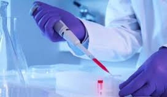 دراسة إيرانية تتوصل إلى اكتشاف تركيبة جديدة لعلاج السرطان