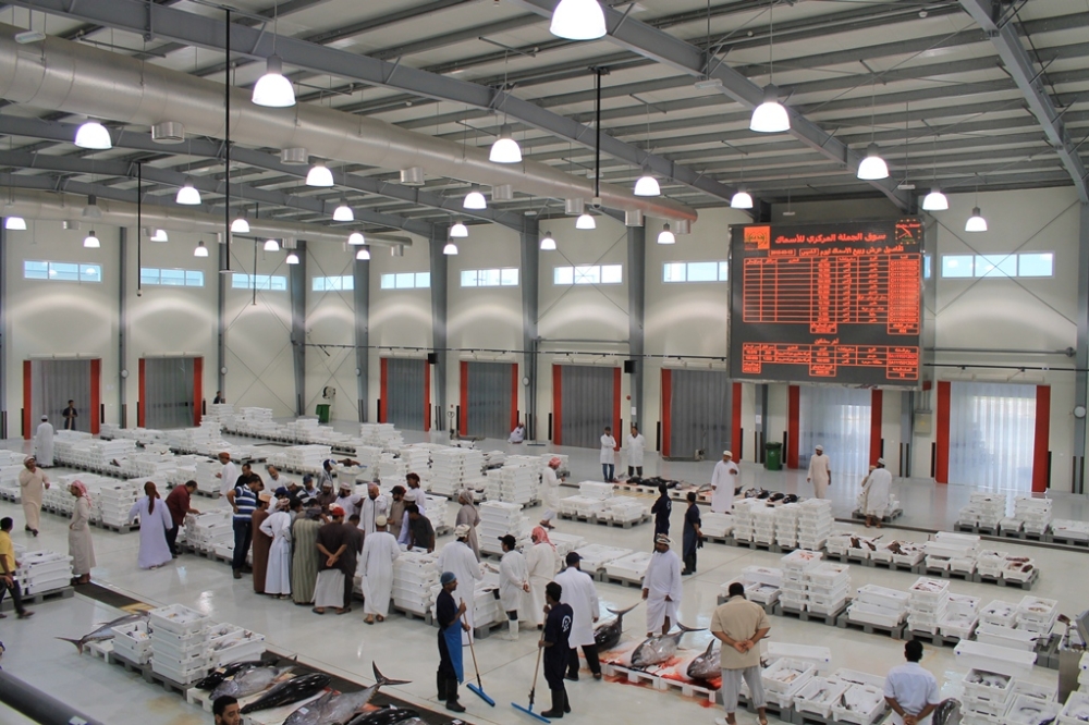 أكثر من290  ألف طن إجمالي الأسماك المنزلة في السلطنة بنهاية أكتوبر الماضي