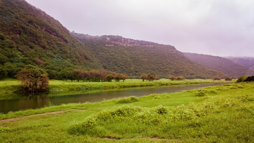 أكثر من ٣ آلاف سائح عدد زوار مواقع أرض اللبان
