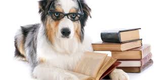 قصة قصيرة: الكلب الكاتب لـ سيرخيو غاوت فيل هارتمان.. ترجمة: فيصل الحضرمي