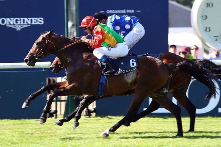 الخيالة السلطانية تحرز مراتب متقدمة في سباق فرنسي