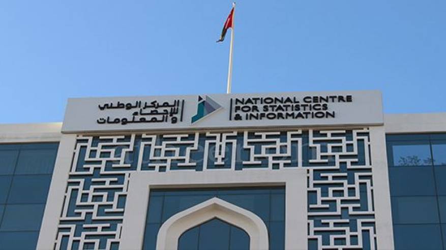مركز الإحصاء: التجهيز جار لنشر بيانات التعداد الإلكتروني 2020