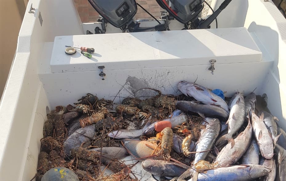 ضبط كميات من الشارخة والصفيلح تم صيدها  خارج الموسم