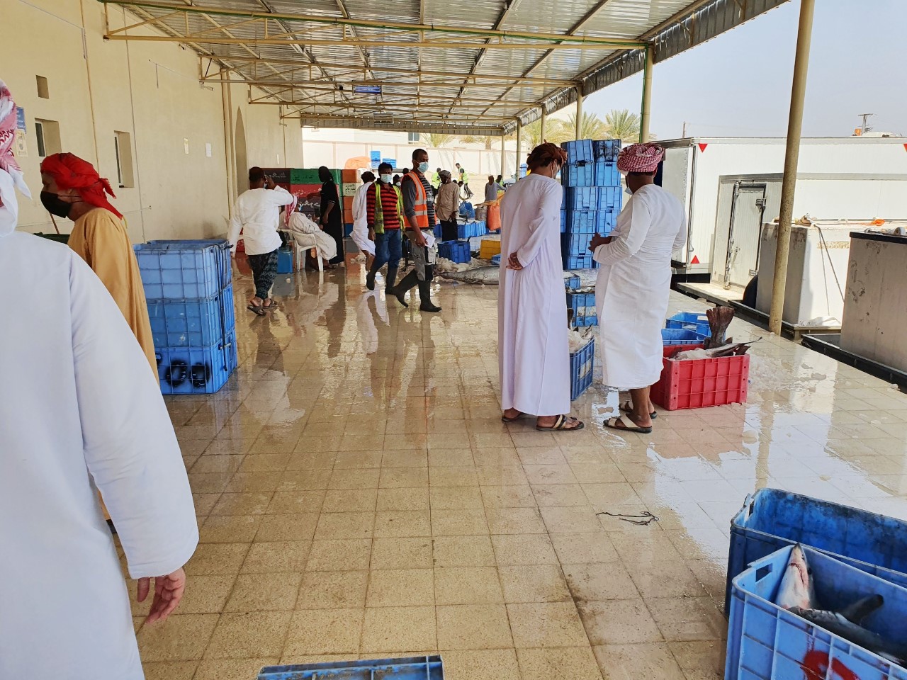 “الثروة السمكية” ستسهم بنسبة 2% في الناتج المحلي بنهاية “العاشرة”