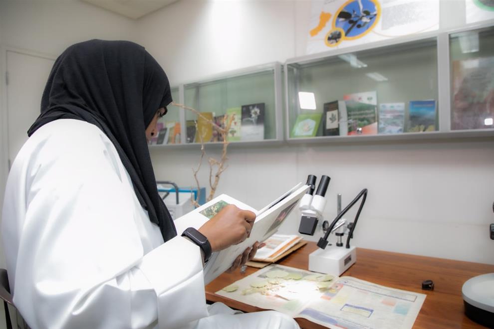 6 آلاف عيّنة من النباتات العمانية متاحة إلكترونيا للبحث العلمي