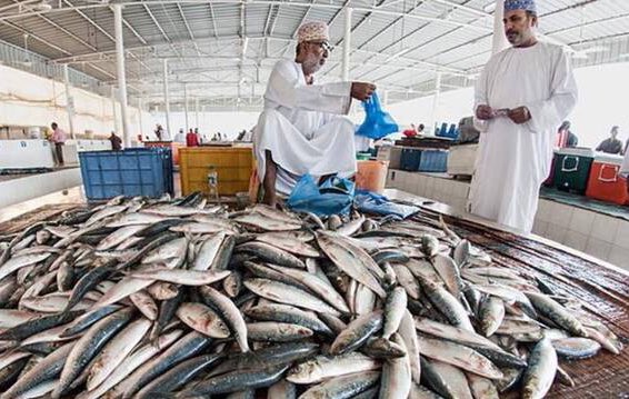 ارتفاع كمية الأسماك المنزلة بنهاية مارس الماضي