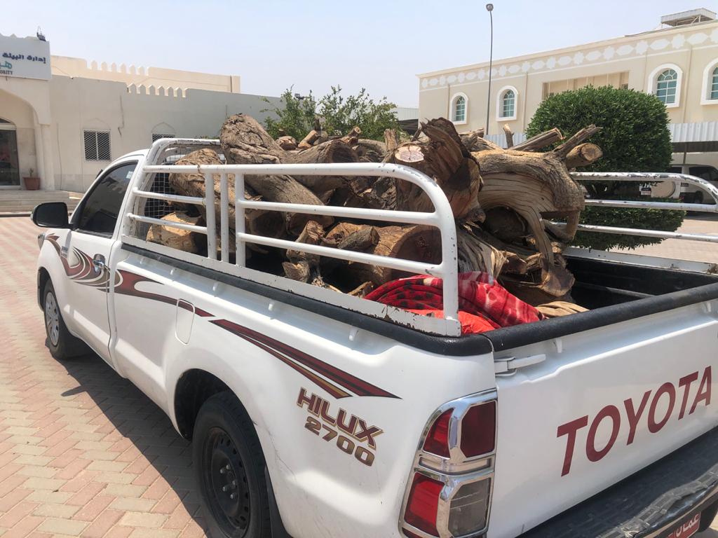 ضبط أشخاص قاموا بالاحتطاب بدون تصريح