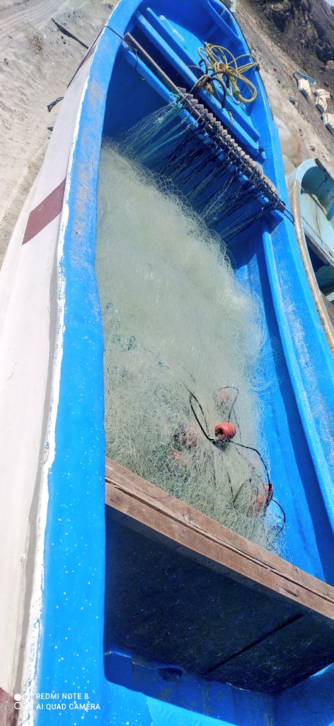 “الرقابة السمكية” بالوسطى تضبط 4 قوارب غير مرخصة