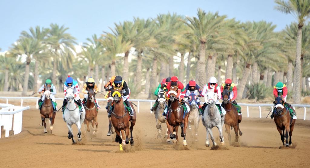 غدا.. انطلاق سباق الخيل التاسع في بركاء