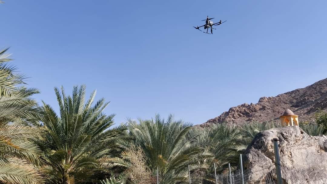 استخدام الطائرات المسيرة للكشف المبكر عن إصابة النخيل في الظاهرة