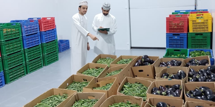 “الإنتاج والتسويق الزراعي” تبدأ التشغيل التجريبي لمحطة التجميع والفرز بـ”السويق”