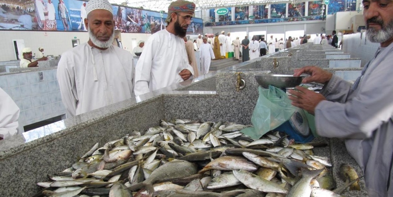 “الوسطى” تستحوذ على 39% من إنتاج الأسماك في سلطنة عمان