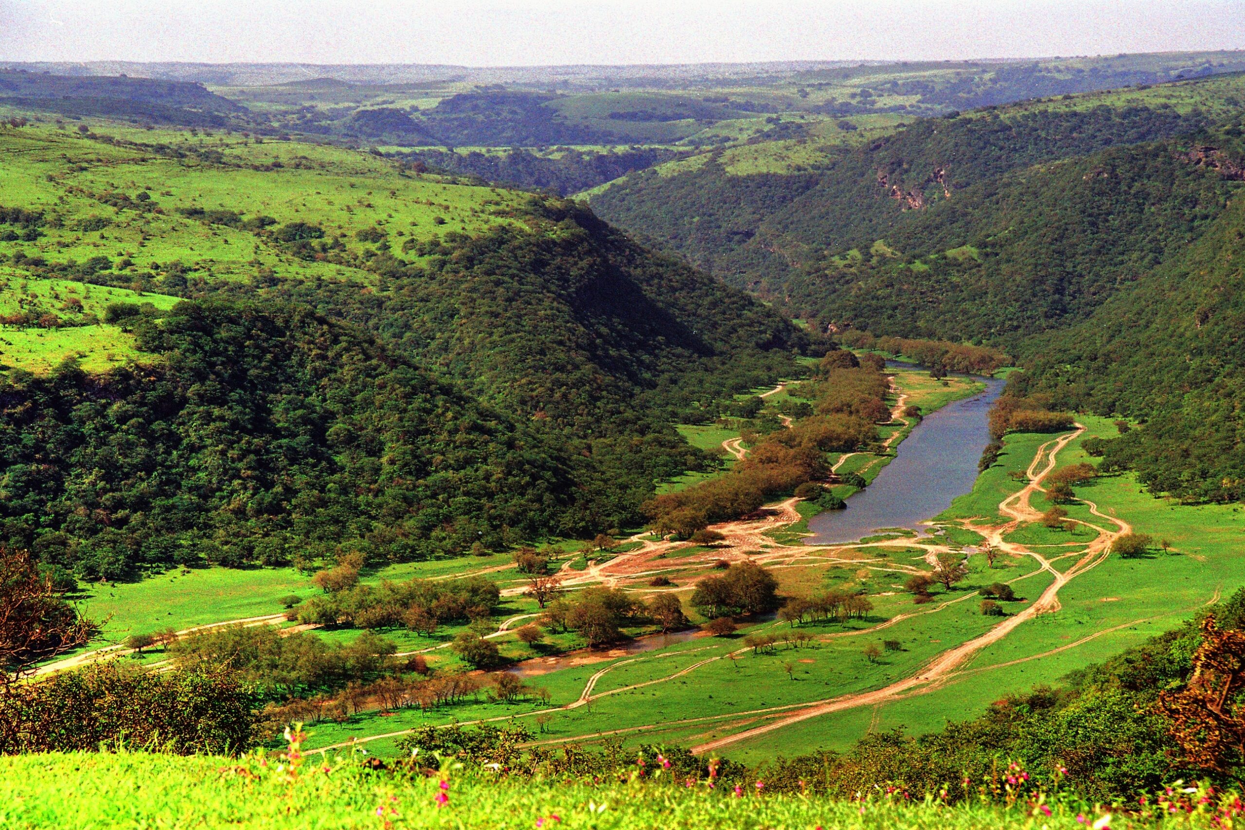 بفعاليات وأنشطة ترويجية.. سلطنة عمان تحتفل باليوم العالمي للسياحة
