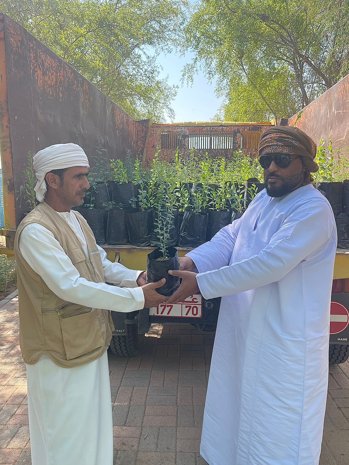 إقبال واسع على طلب شتلات النباتات البرية في الكامل والوافي