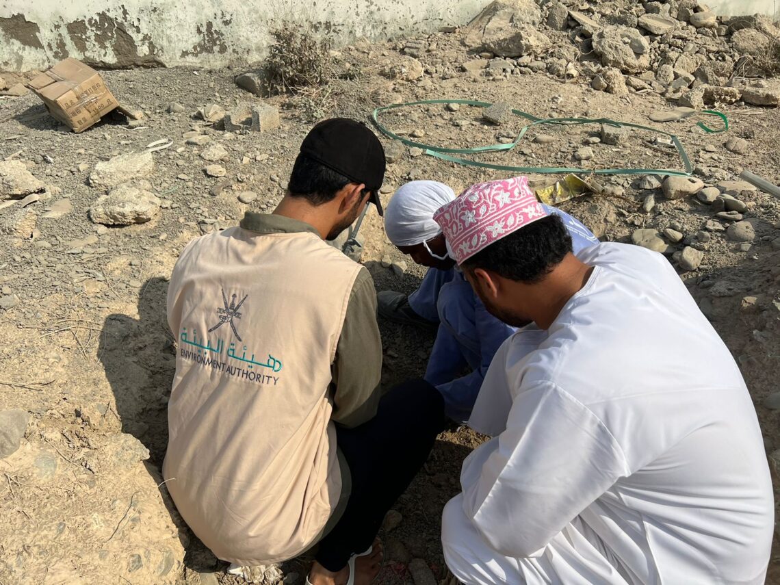 استزراع أشجار السدر والشوع في عدة مواقع بـ”الخابورة”