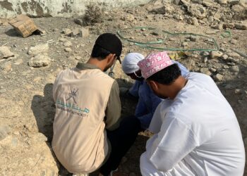 استزراع أشجار السدر والشوع في عدة مواقع بـ”الخابورة”