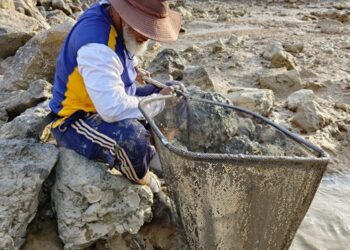 اكتشاف نوع جديد من أسماك الأراضي الرطبة