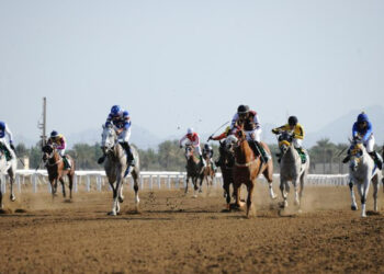 انطلاق سباق الخيل السابع على مضمار الرحبة.. السبت