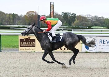 “كوثر” للخيالة السلطانية تحصد المركز الأول في منافسات بفرنسا