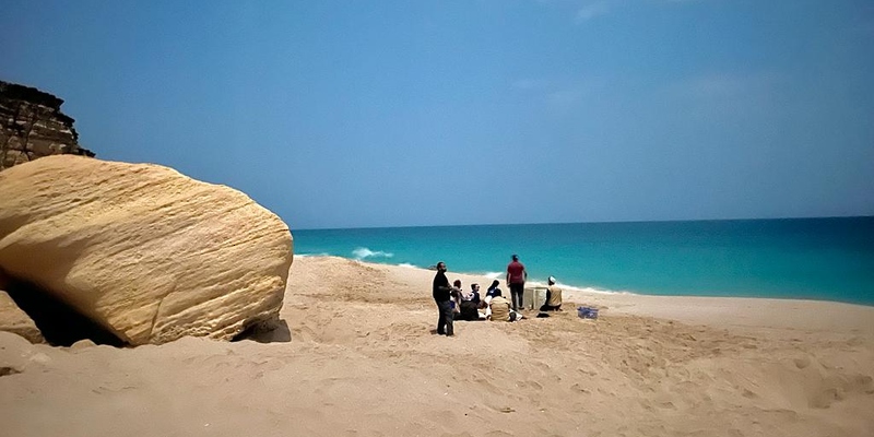 إطلاق المرحلة الثانية من مشروع تتبع السلاحف البحرية عبر الأقمار الاصطناعية