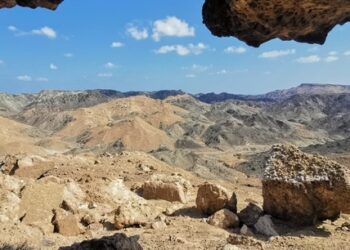 رصد آثار غزلان وأرانب في مصيرة ضمن مشروع المسح الوطني للتنوع الأحيائي