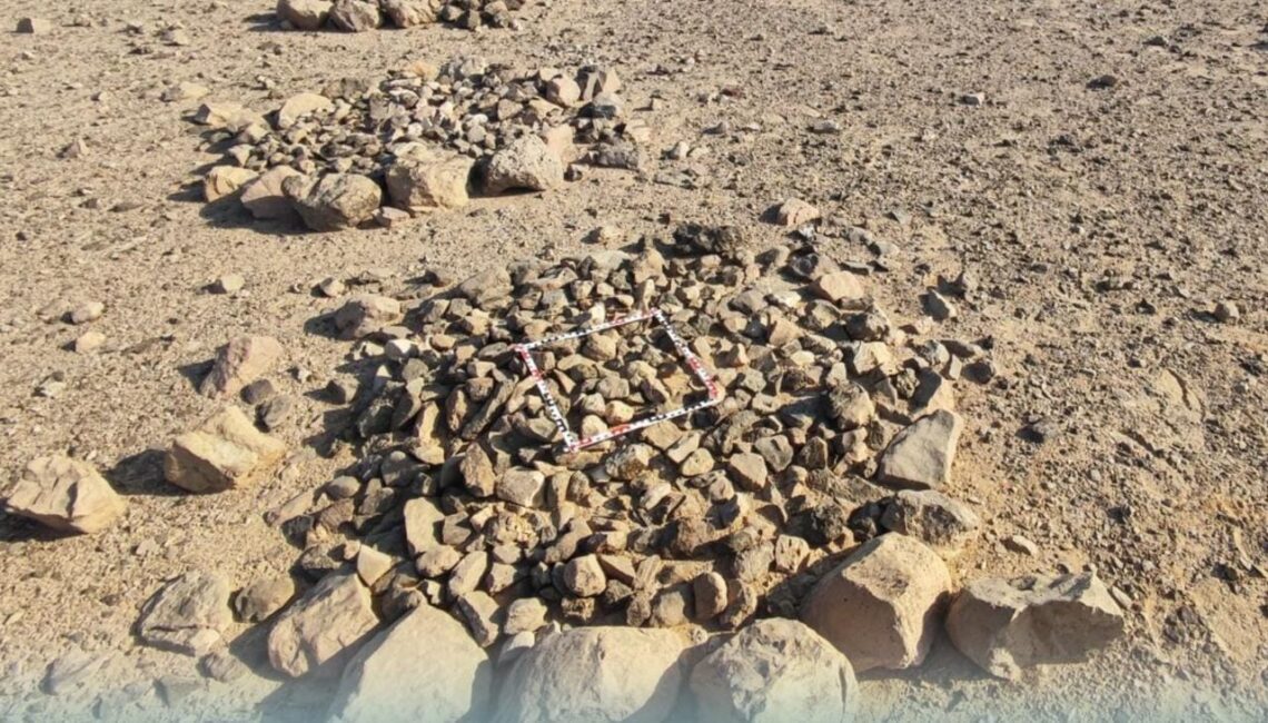 التنقيب في قبر جماعي يعود إلى العصر الحجري الحديث بالدقم