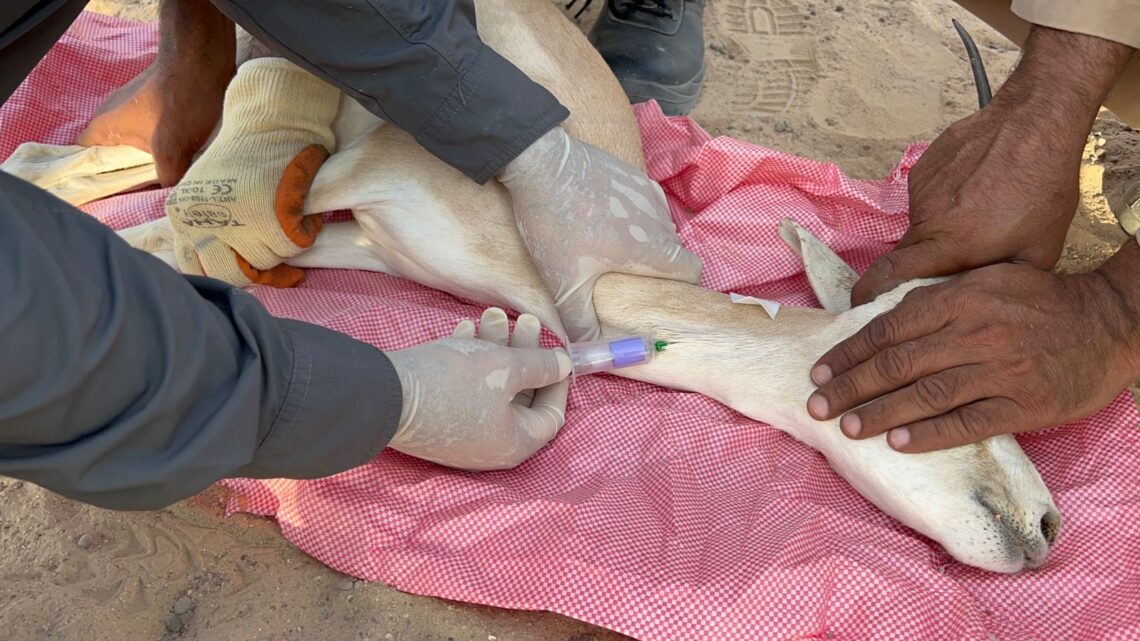 مشروع لإنشاء بنك الجينات لحفظ الأصول الوراثية بالتجميد