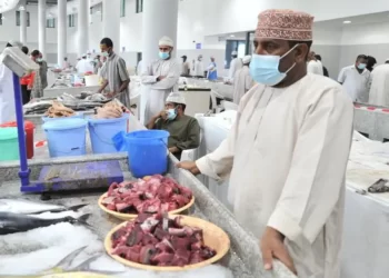 القيمة الإجمالي لإنتاج الأسماك تتجاوز 294 مليون ريال بنهاية سبتمبر