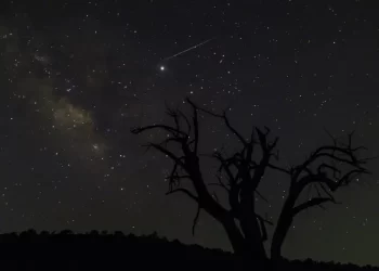 سماء سلطنة عمان تشهد تساقط زخات شهب التوأميات في هذا الموعد