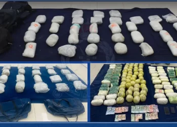 ضبط 13 شخصا بتهمة تهريب كميات كبيرة من المواد المخدرة
