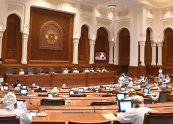 مجلس الدولة يناقش مشروع الميزانية العامة 2023