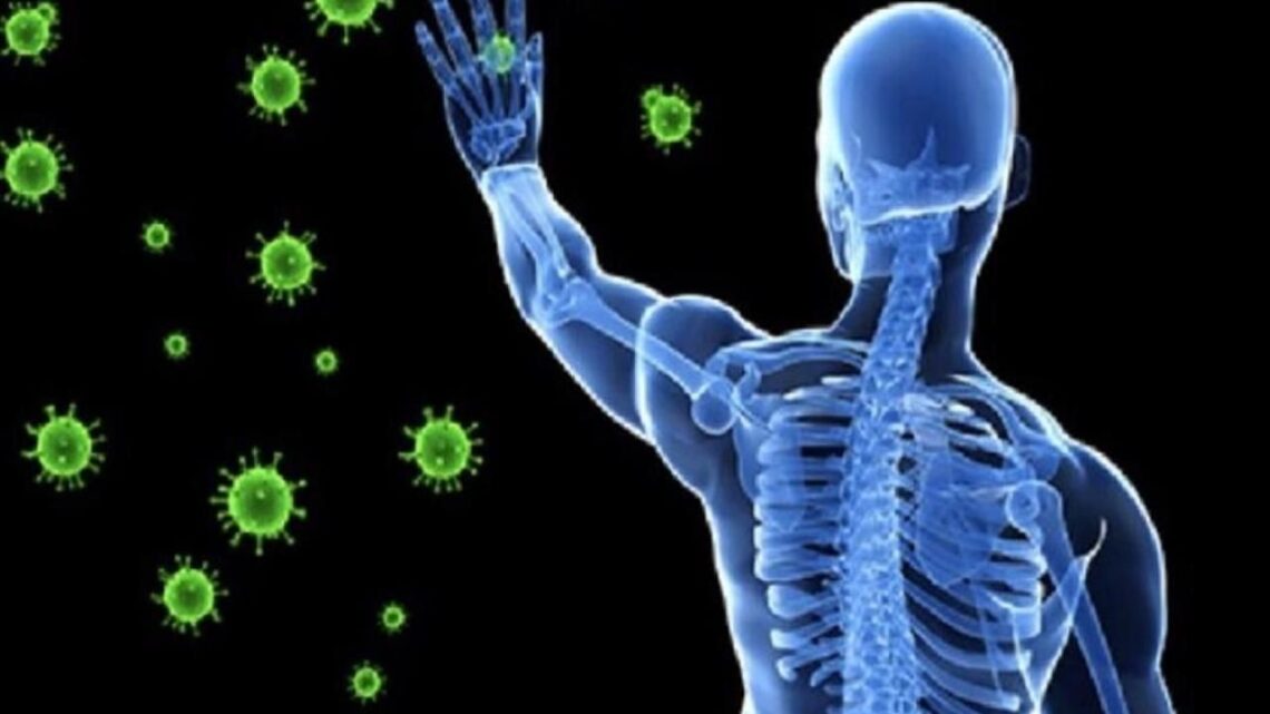 دراسة علمية تكشف طريقة عمل الذاكرة المناعية