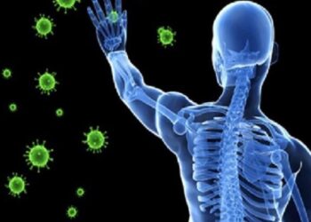 دراسة علمية تكشف طريقة عمل الذاكرة المناعية