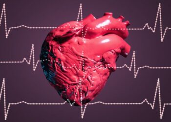 اكتشاف جين مضاد للشيخوخة ويمنع تدهور وظائف القلب