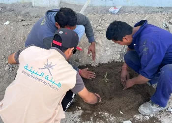 تنفيذ حملة استزراع وتوزيع شتلات عمانية برية في الخابورة