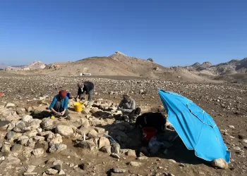 الإعلان عن اكتشافات أثرية جديدة في ولاية عبري