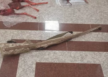 اصطادوا غزلان عربية.. القبض على 3 من منتهكي الحياة الفطرية في صور