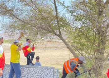 حملة تشجير في العامرات