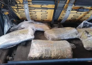 جمارك الربع الخالي تضبط 5 كيلو من مخدر الحشيش بحوزة راكب