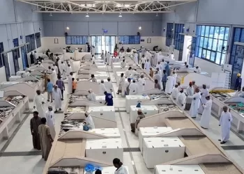 423.5 مليون ريال قيمة الأسماك المنزلة بنهاية 2022