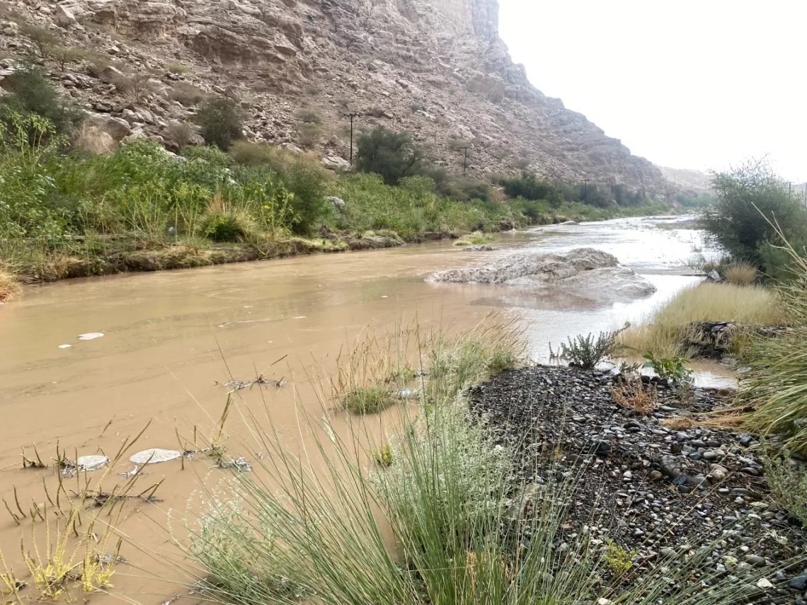 “الحمراء” تسجل أعلى كمية أمطار