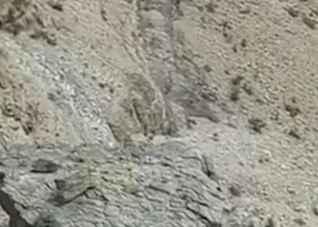بالفيديو.. طيران “الشرطة” ينقذ مواطنا سقط من أحد الجبال في نخل