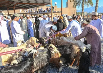 “الثروة الزراعية” تؤكد على أهمية اتخاذ الاحتياطات عند شراء الماشية وذبحها