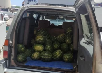 ضبط أكثر من 1440 مخالفة لقانون النقل البري
