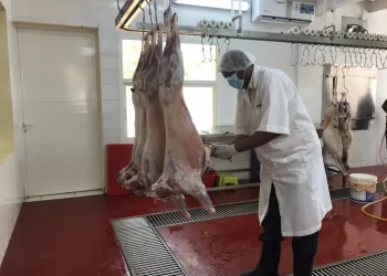 مسالخ بلدية مسندم تنهي استعداداتها لاستقبال عيد الفطر المبارك