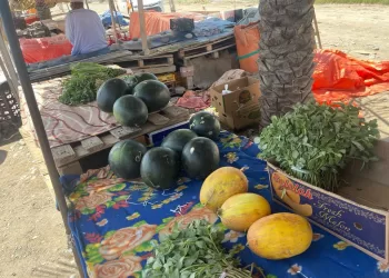 ضبط عدد من الباعة المخالفين في بركاء