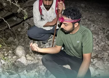 انطلاق أعمال مشروع مسح الأفاعي في ظفار