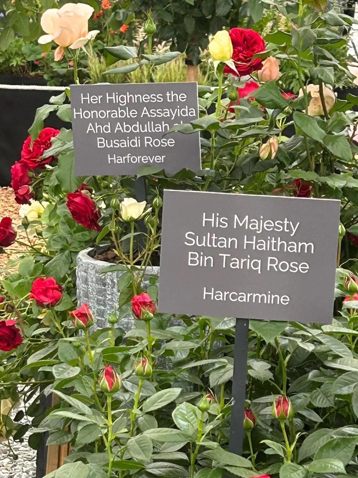 سلطنة عمان تدشن وردة جلالة السُّلطان والسيدة الجليلة في معرض دولي